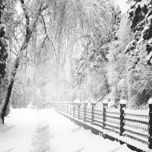 WP02285 Фотообои Verol Фотообои decoline 1х1 м