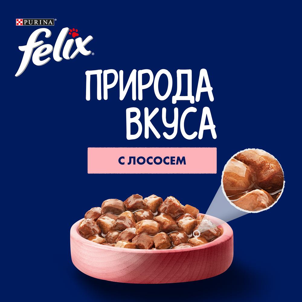 ПР0049075 Корм для кошек Природа вкуса с лососем в соусе, пауч 85 г FELIX  - Вид №4