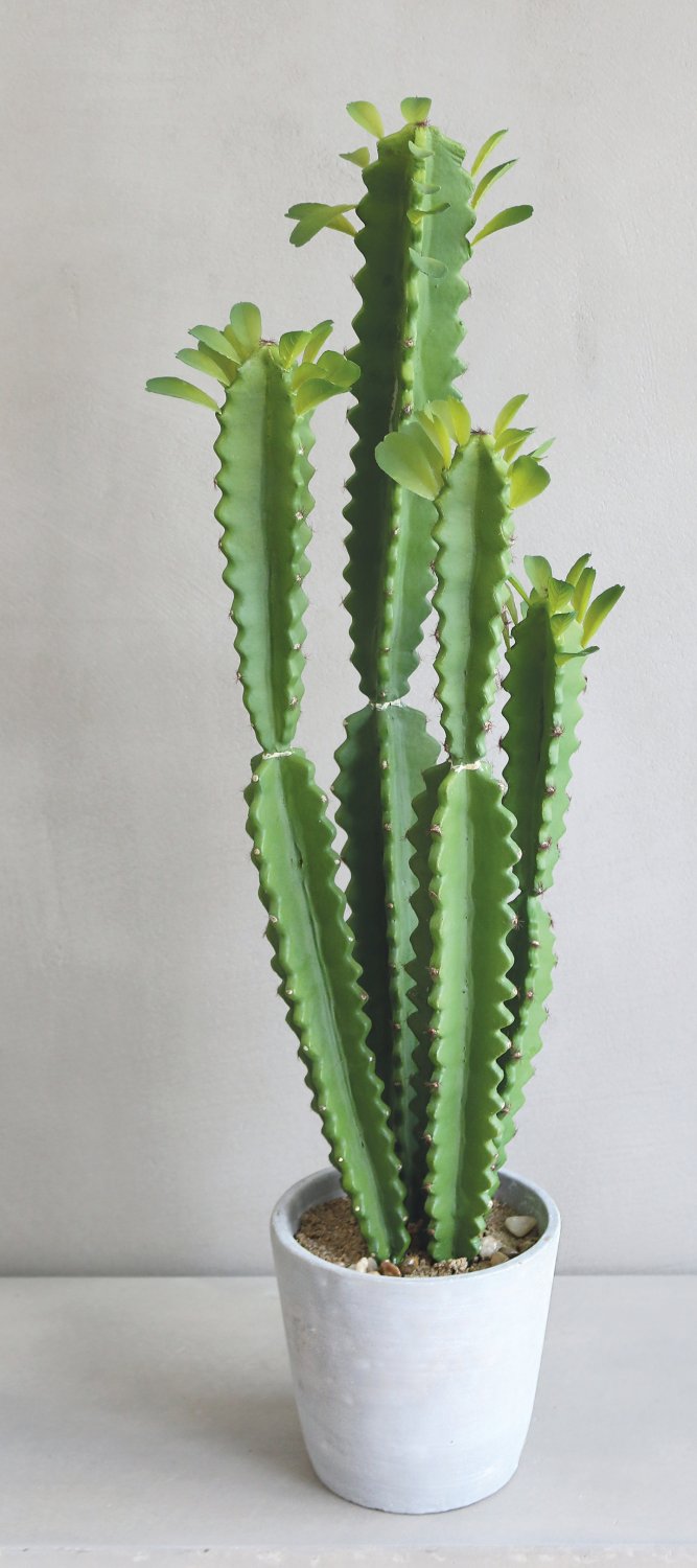 6062 883 a3 Молочай искусственный тригона, горшечный, 71 см, зеленый H-andreas  - Вид №5