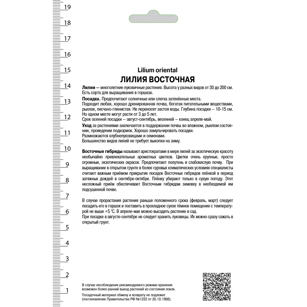 Лилия восточная «Марко Поло», высота 50 см, 1 шт. 82000188 STLM-2181474 Santreyd  - Вид №1