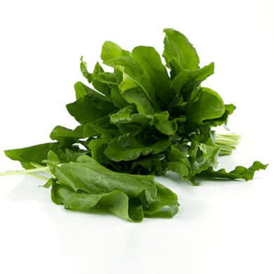 Шпинат Santreyd 1870