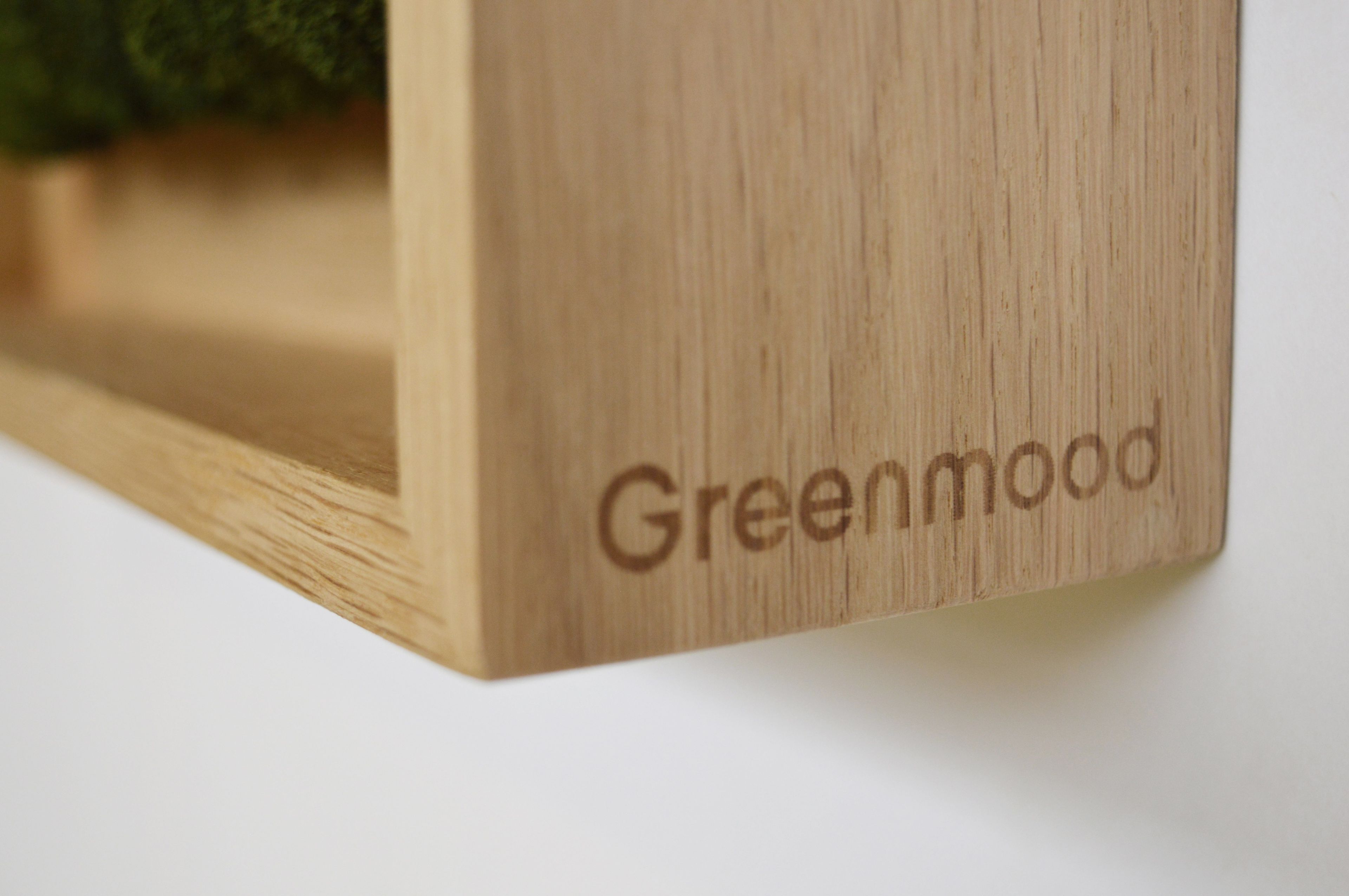 Акустическая панель из мха GREENMOOD FRAMED SYNERGY ARCH-00061647 - Вид №19