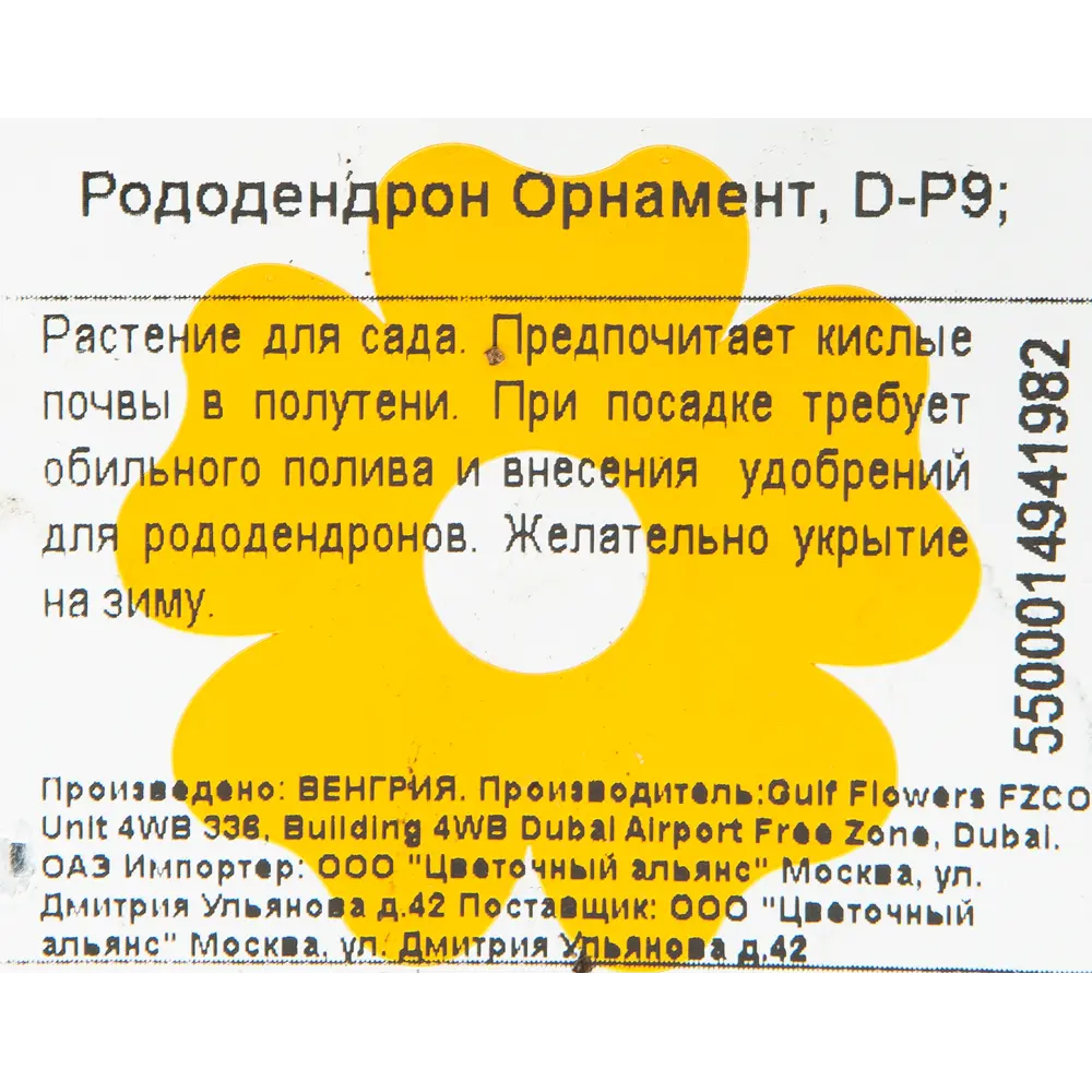 Рододендрон гибридный «Орнамент» 9x20 см 82601840 STLM-2034813 Santreyd  - Вид №1