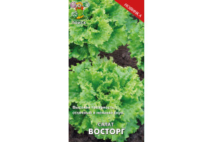 16535299 Семена Восторг 1 г 721877 ПОИСК