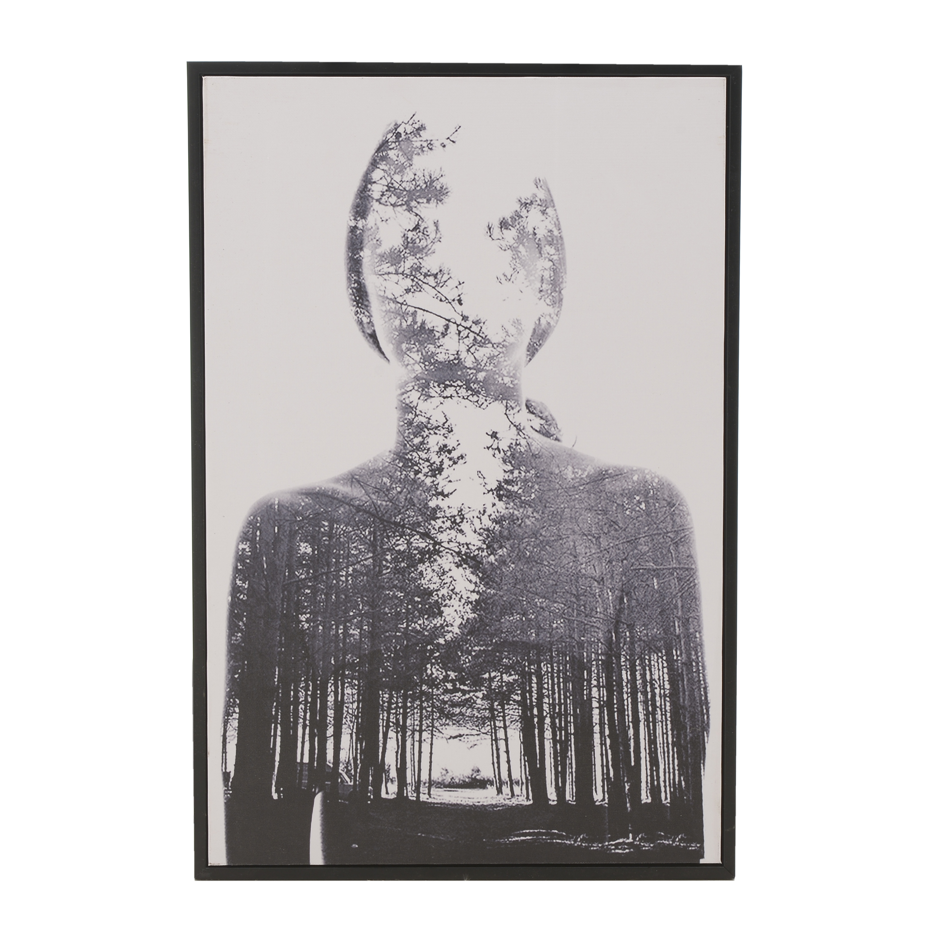 3890250.0014 ПРИНТ В РАМЕ TO4ROOMS  - Вид №1