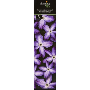 89352996 Клематис микс ø9.2 h36 см STLM-0959855