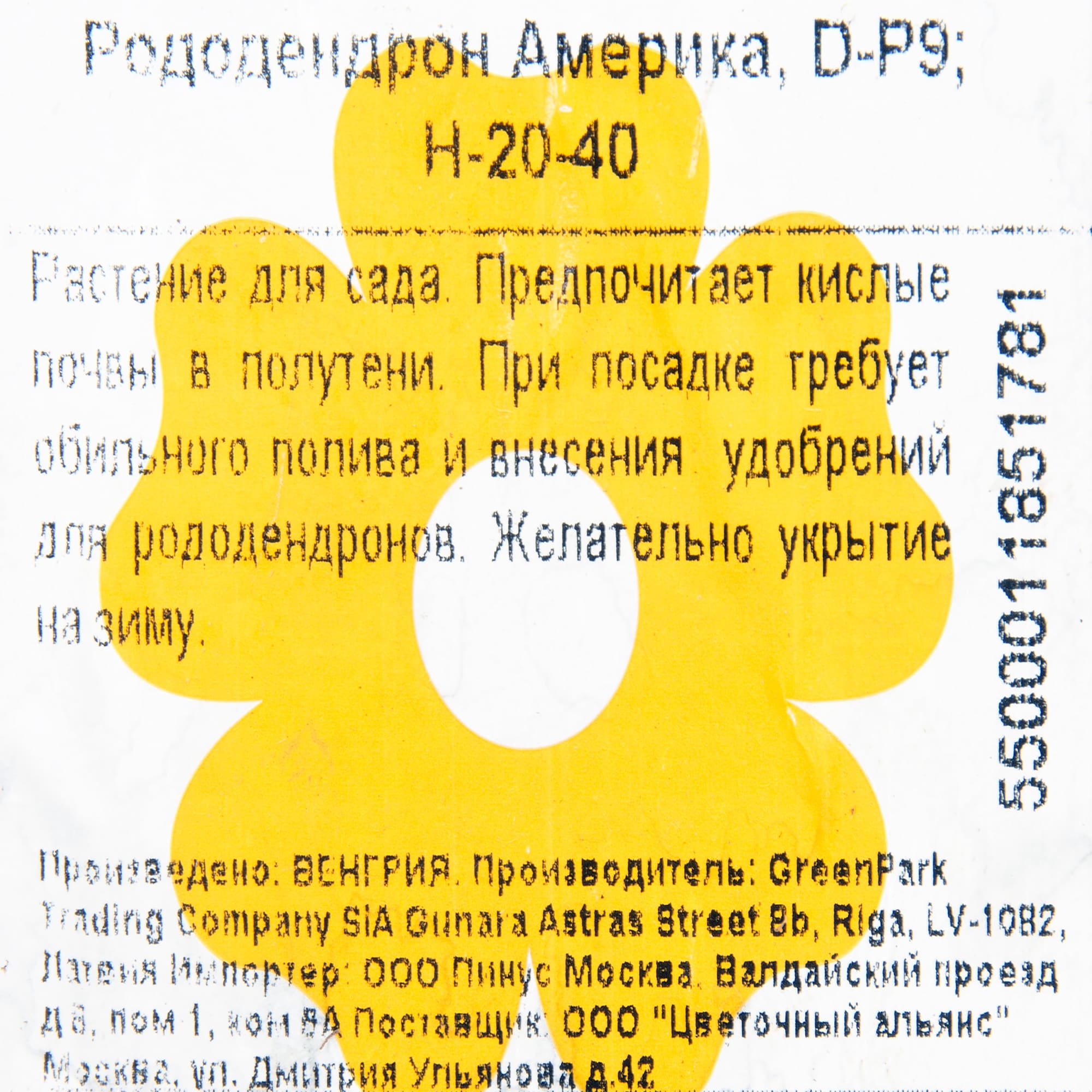 17892025 Рододендрон Америка P9 Santreyd  - Вид №1