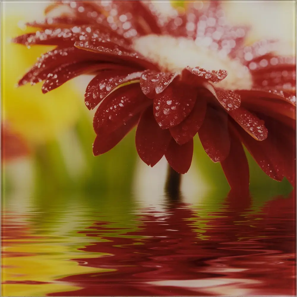Картина на стекле 30x30 см Red flower 27737524 15247823 STLM-2133092 Santreyd 