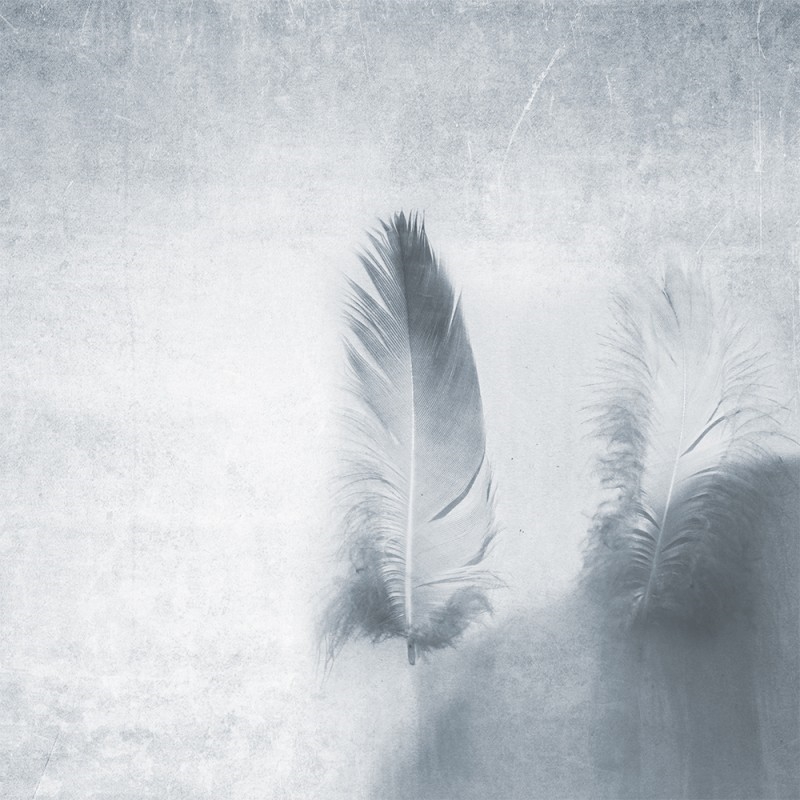 WP02020A Обои декоративные Adriani e Rossi  - Вид №1