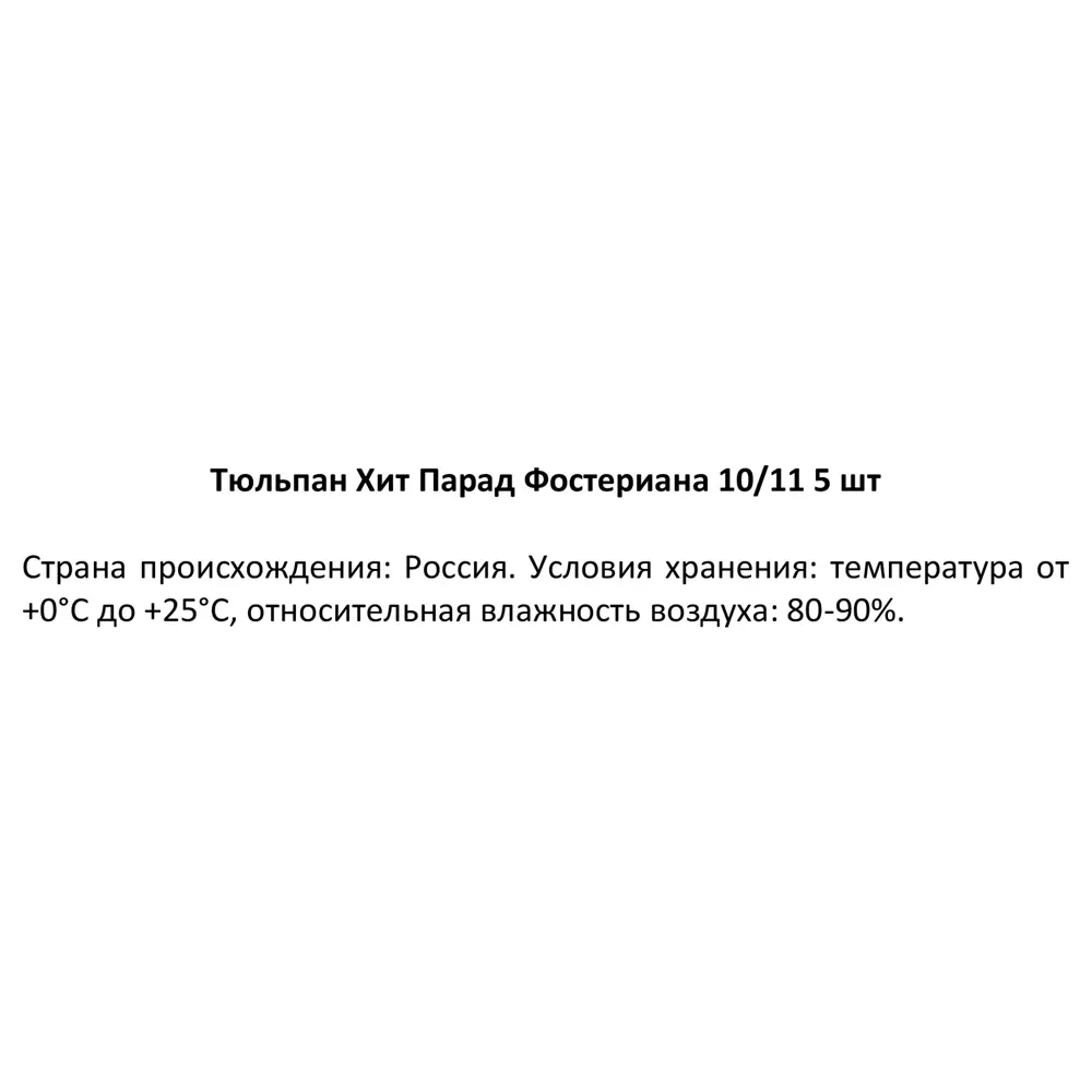 Тюльпан ХитПарад Фостериана луковица 10/11, 5шт 89049665 STLM-2141002 Santreyd  - Вид №3