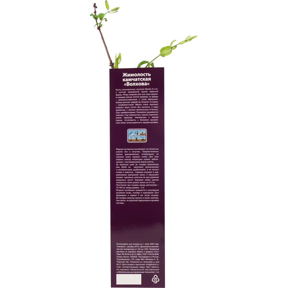 Жимолость Волхова в тубе 82539562 STLM-2112301 BOTANIC COLLECTION  - Вид №2