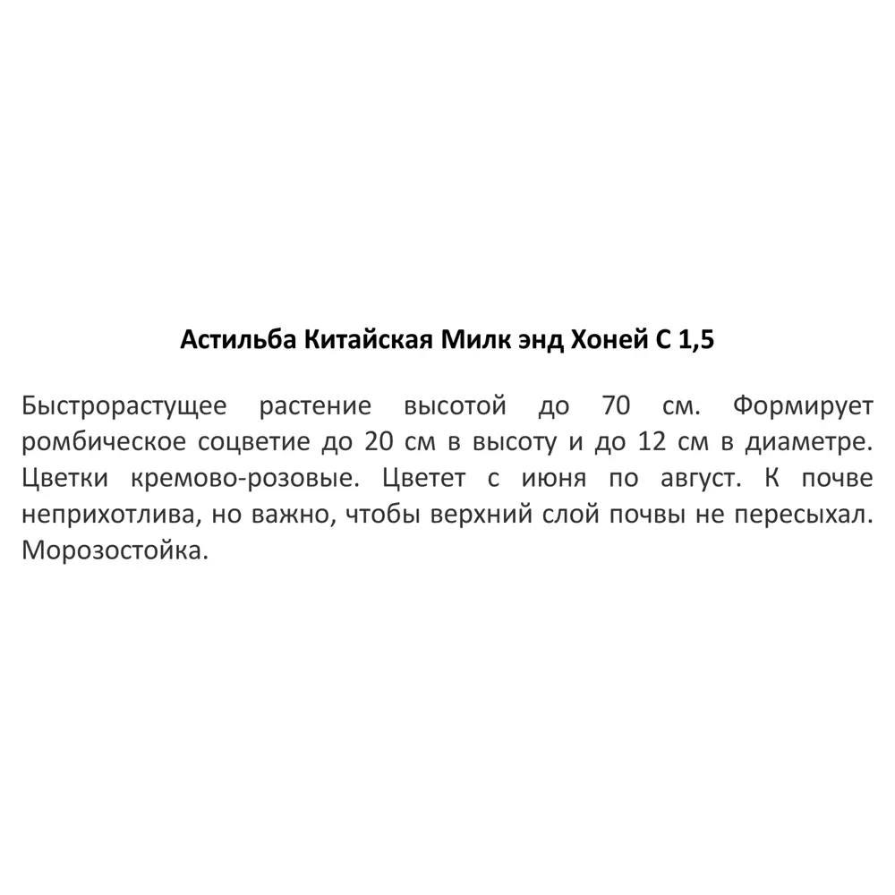Астильба китайская Милк Энд ø11.5 h30 см 85324902 STLM-2113756 Santreyd  - Вид №2