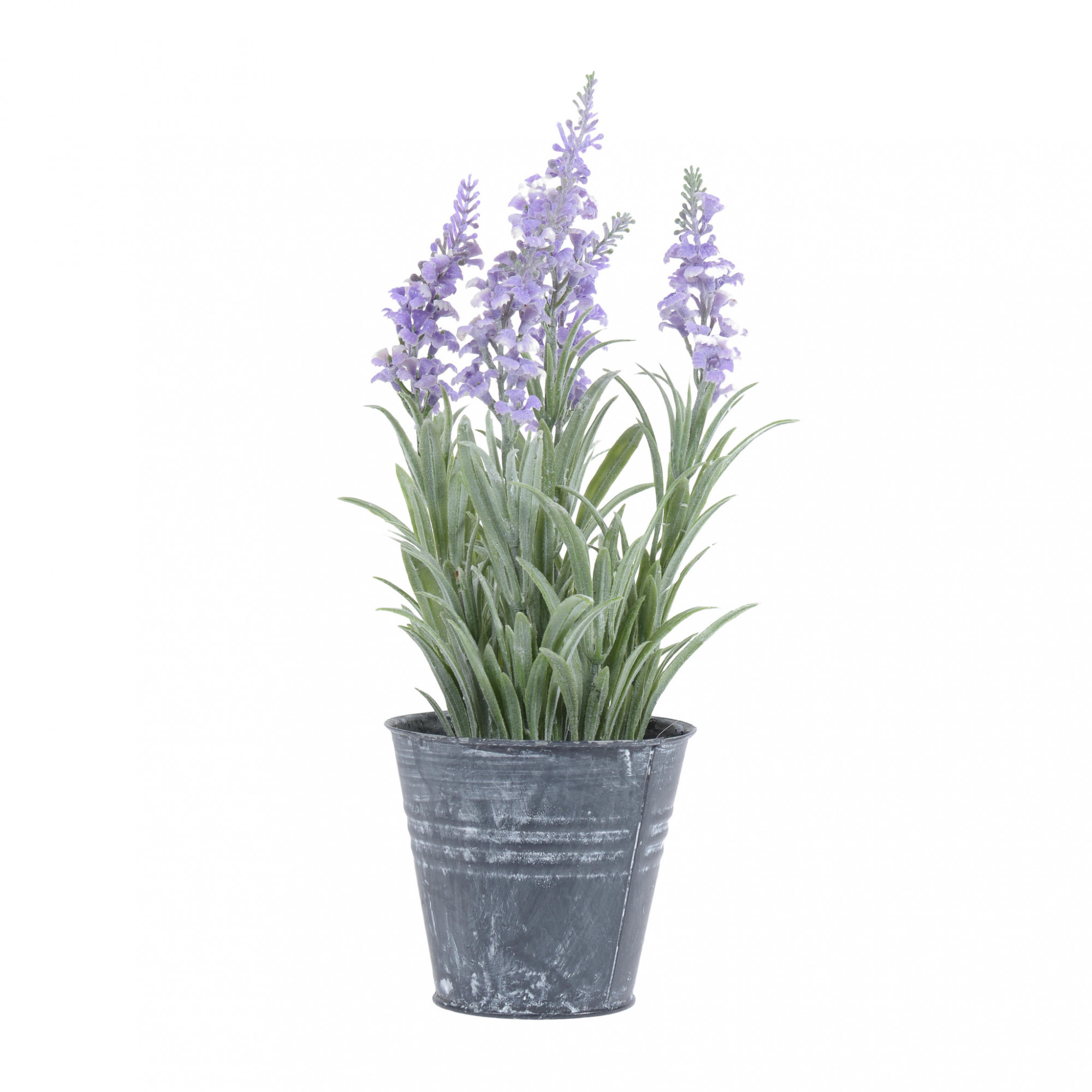 3885475.0140 Керамический горшок с лавандой TO4ROOMS 