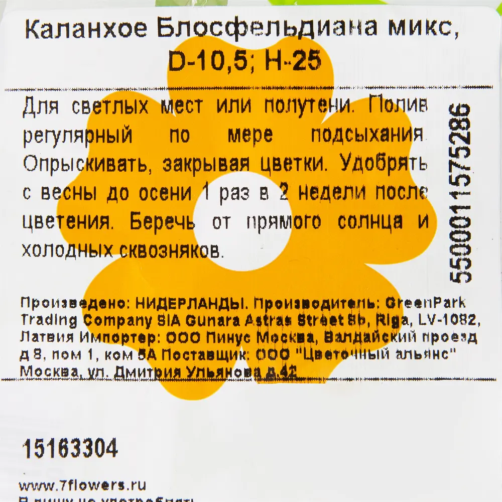 Каланхое блосфельдиана микс 11x22 см 15163304 STLM-2168823 Santreyd  - Вид №3