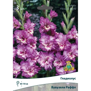 Гладиолус гофрированный Вувузела Раффл луковица 10/12 83596573 STLM-2012357