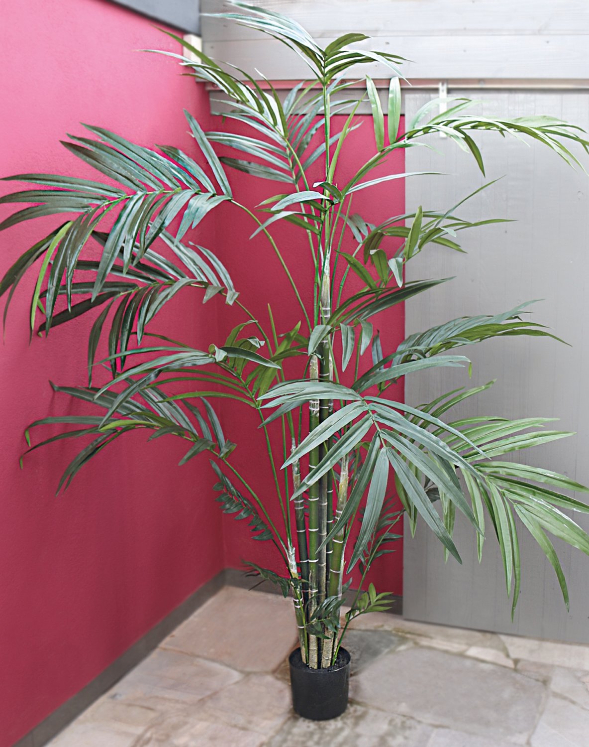 5452 883 a3 Искусственная пальма Kentia, горшечная, 240 см, зеленая H-andreas 