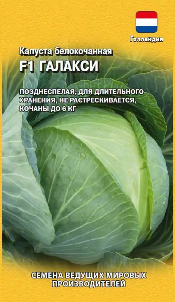 83607097 Семена Капуста белокочанная Галакси F1 STLM-0042509