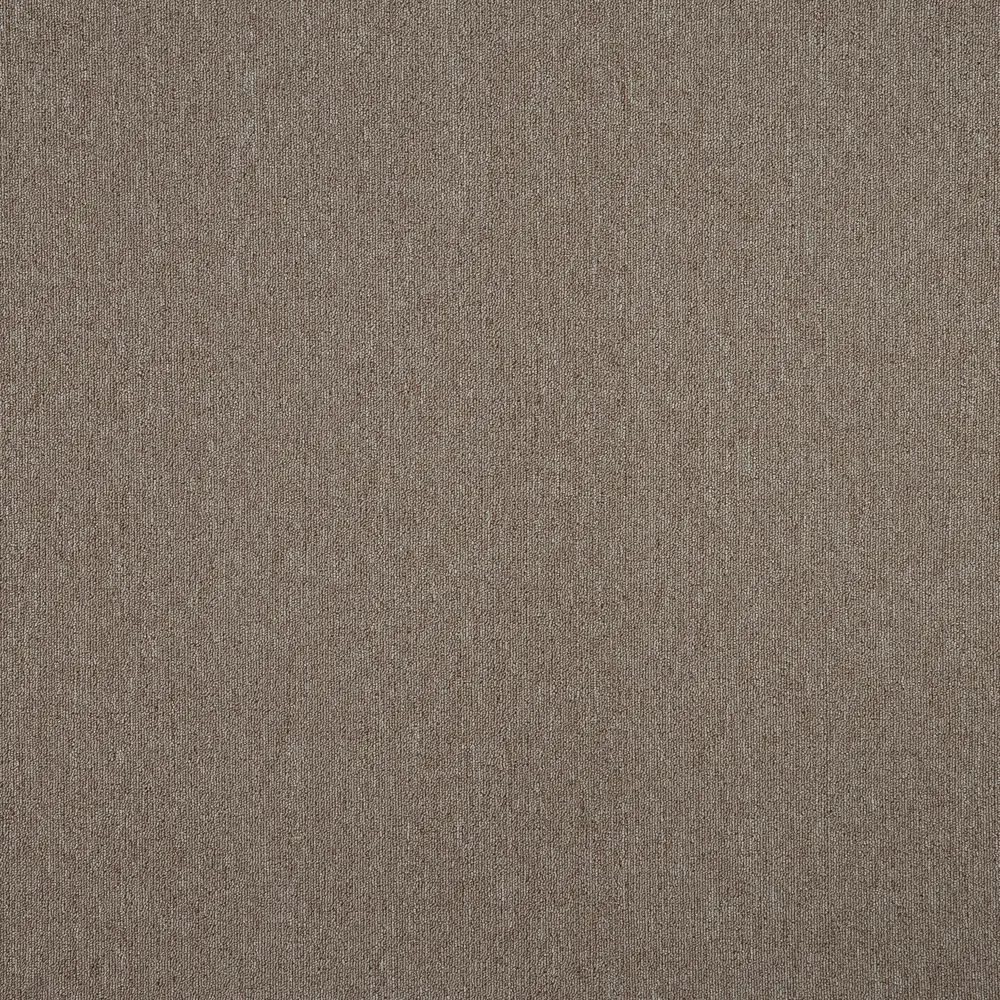 ЗАРТЕКС Колибри - ковролин светло-коричневый для уютного интерьера 82163695