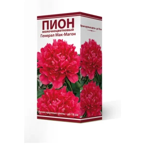 Пион молочноцветковый травянистый «Генерал Мак-Магон» разбор 2-3 82661854 STLM-2092514