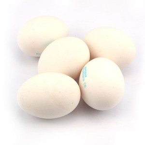 Яйцо куриное С0 Недюревка