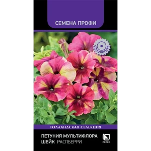 Петуния мультифлора Распберри Шейк от ПОИСК - взрыв малиновых красок 89402698