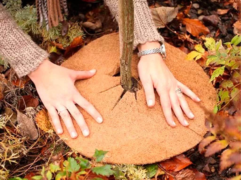 Круг приствольный Мульчаграм 60 см, комплект - 5шт ГеоПластБорд GPBST-236 - Вид №6