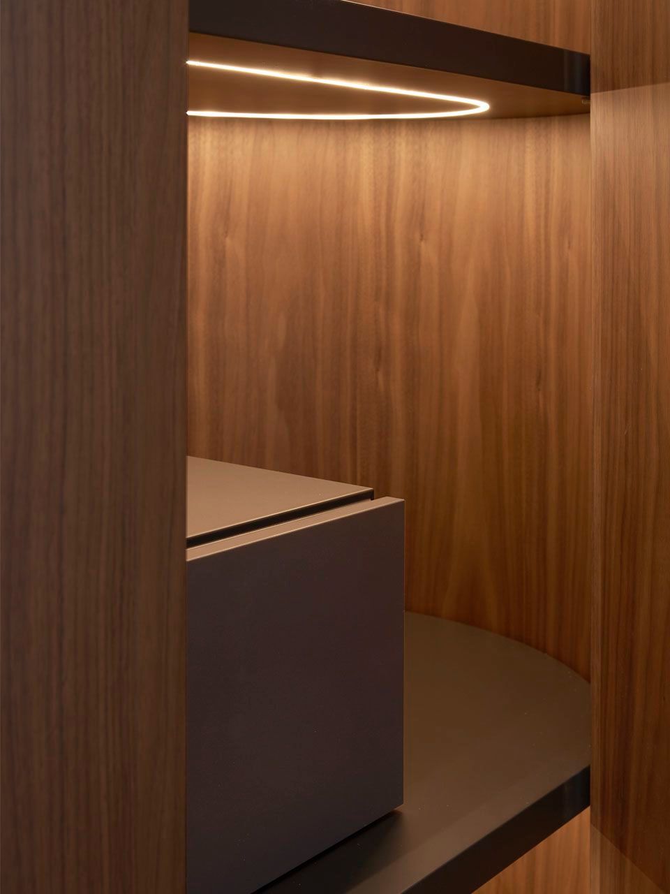 Деревянный шкаф со встроенным освещением Pianca Дедал ARCH-00133326 - Вид №3