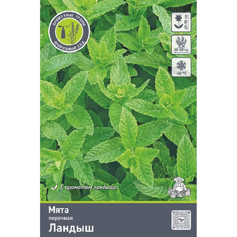 Мята Ландыш 89452306 STLM-2112359 ПОИСК  - Вид №1