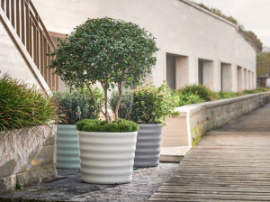 Бетонный низкий садовый горшок