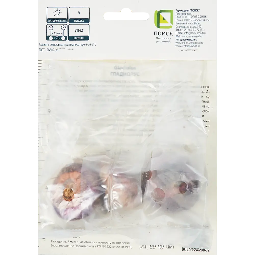 Гладиолус крупноцветковый Дон Луиджи, 3 шт 86410030 STLM-2123527 ПОИСК  - Вид №1