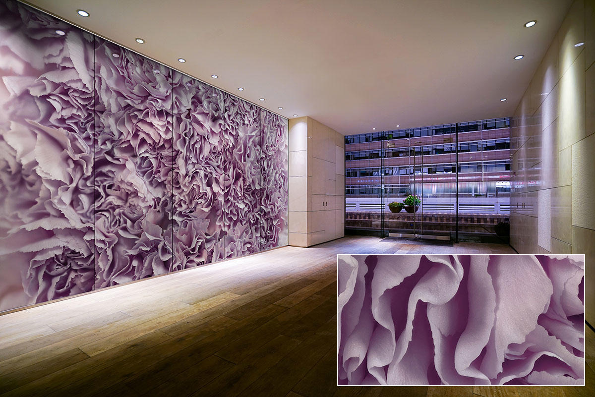 FSRT368 Зум-стекло Vivispectra с прослойкой из содалита Forms-surfaces  - Вид №11