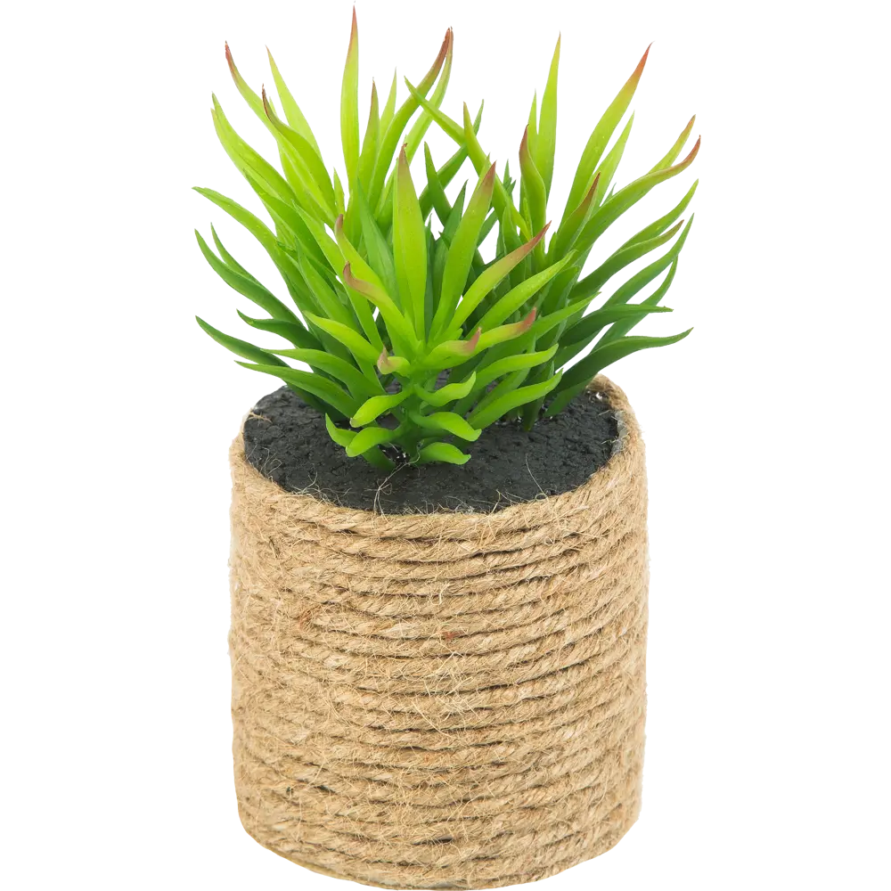 82733287 Горшок с искусственным растением с веревкой ø12 см высота 16 см STLM-0831746 Santreyd  - Вид №6
