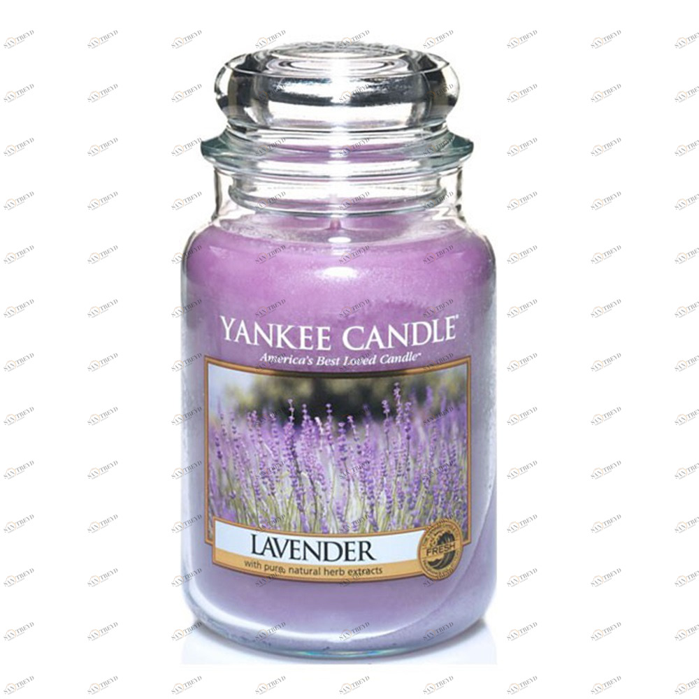 Свеча большая в стеклянной банке Лаванда Lavender 623 гр / 110-150 часов YANKEE CANDLE  267832 Фиолетовый 