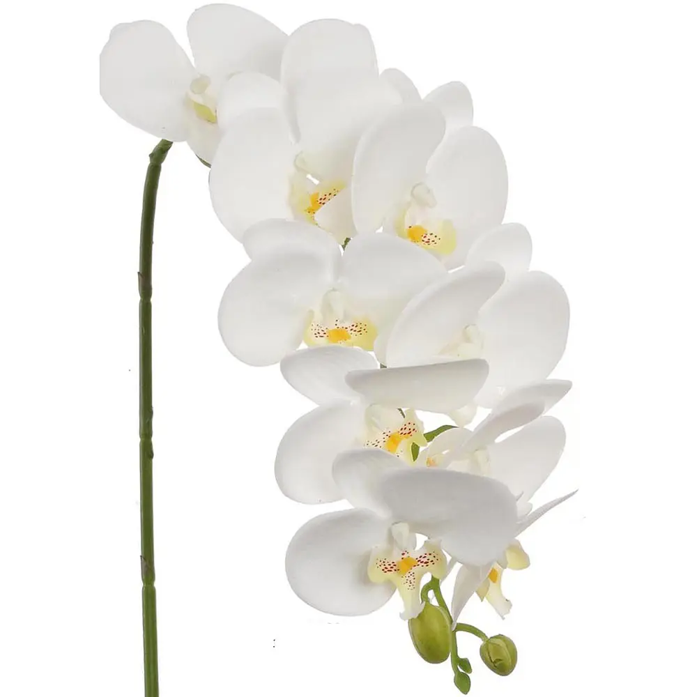 Santreyd Орхидея Фаленопсис Экстра - изысканное украшение интерьера 13974277 STLM-0004094 - Вид №5