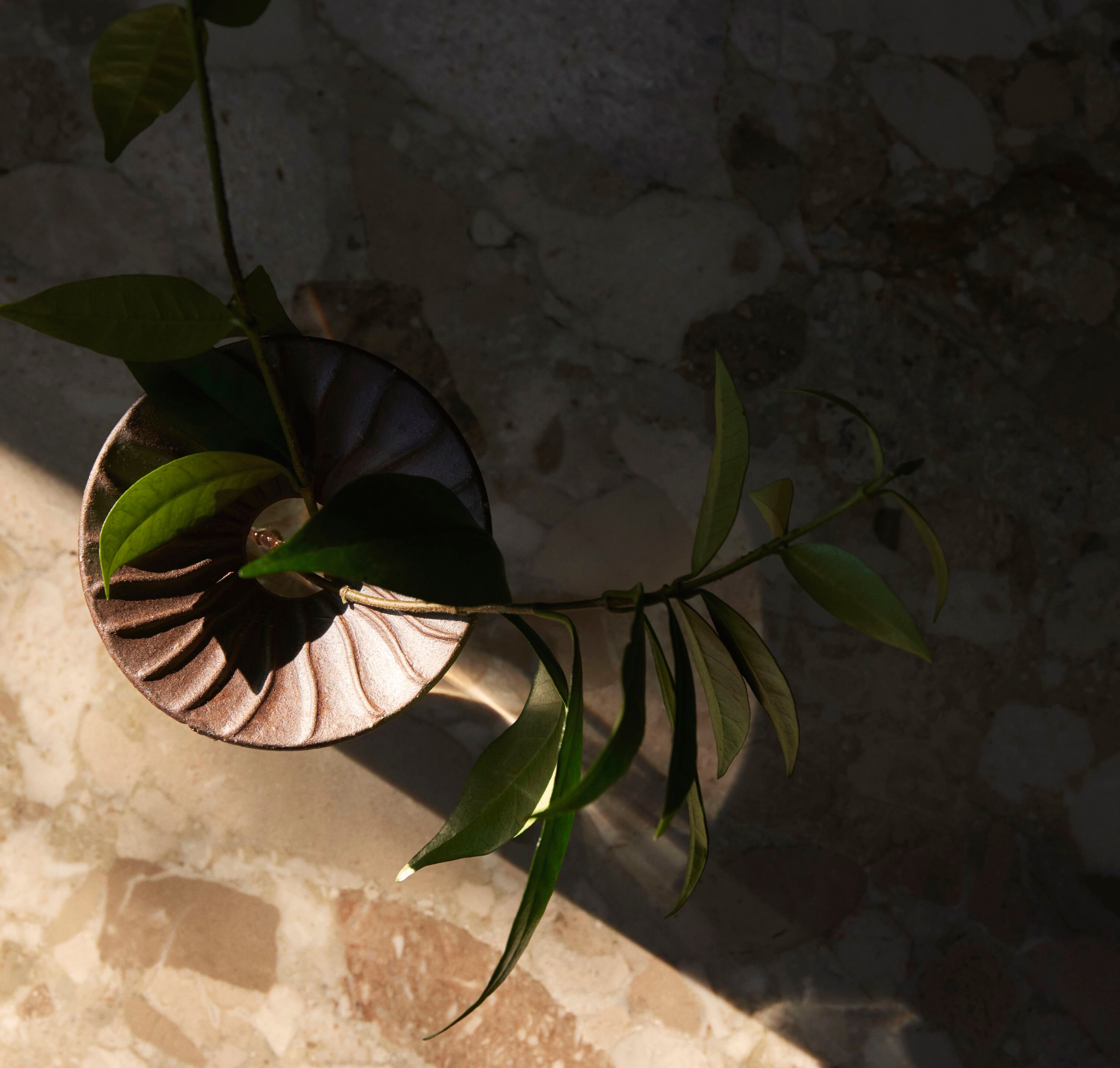 Керамическая и стеклянная ваза Audo Copenhagen CRESCO PROPAGATION ARCH-00022443 - Вид №5