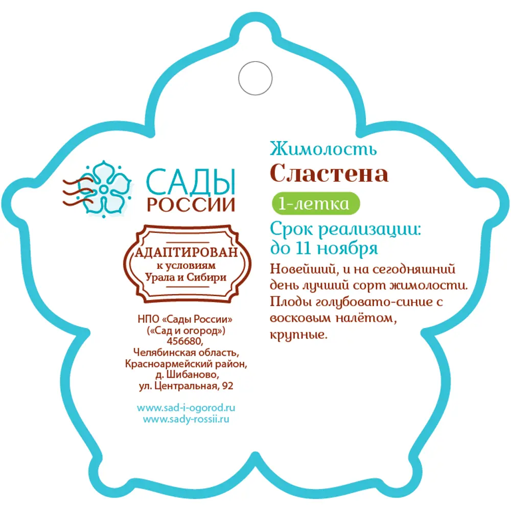 Жимолость «Сластена» 1 год 12.5x30-50 см 82610440 STLM-2166171 Santreyd  - Вид №1