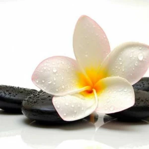 WP01242 Фотообои Verol Фотообои decoline 1х1 м