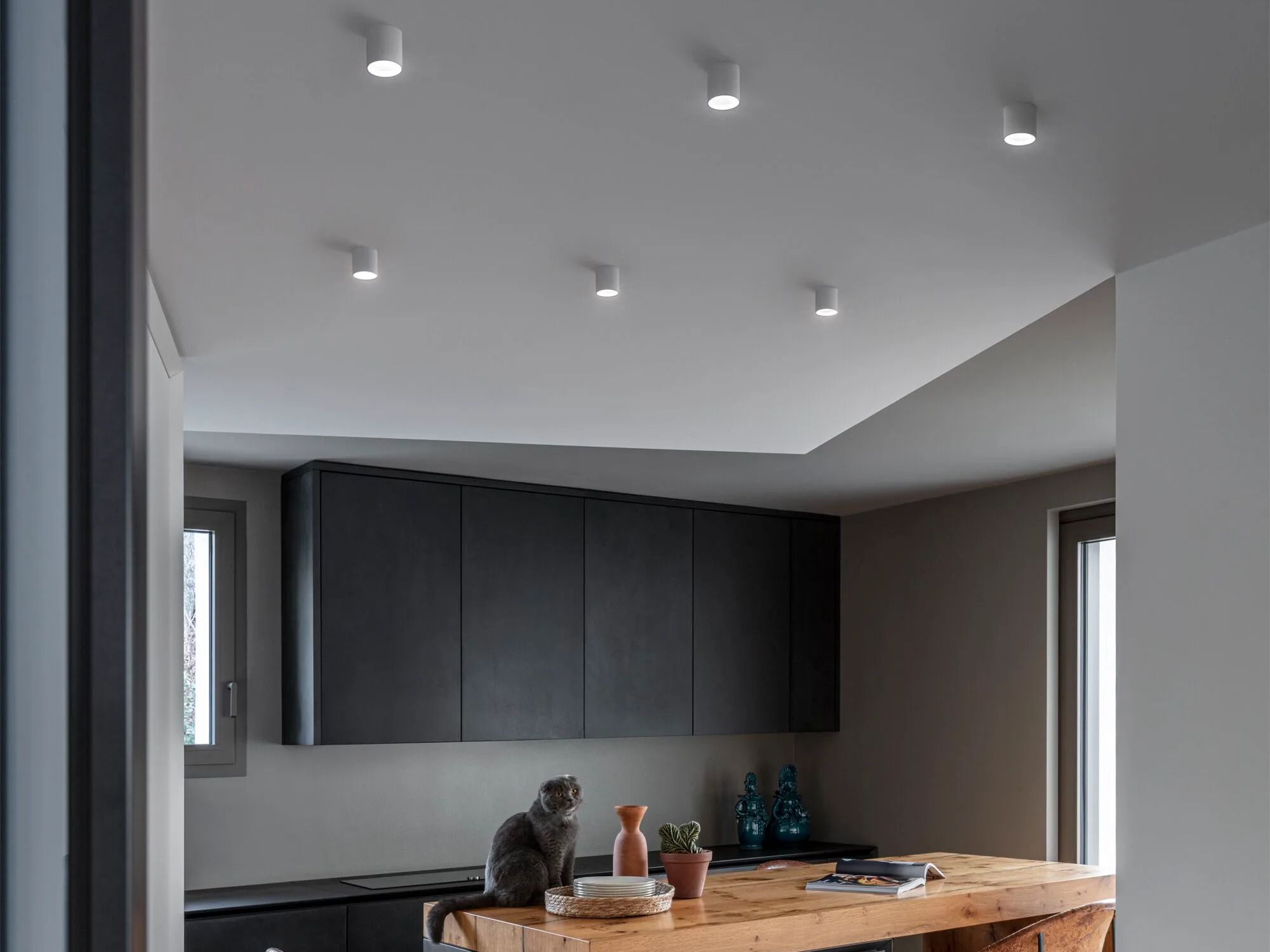 Алюминиевый потолочный светильник с порошковым покрытием Ideal Lux точка ARCH-00039891 - Вид №5