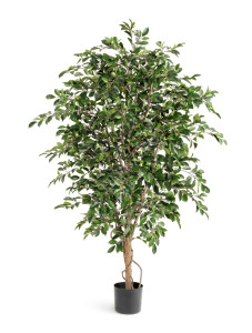 10.33204N Фикус Фолиа зелёный Цветочная коллекция