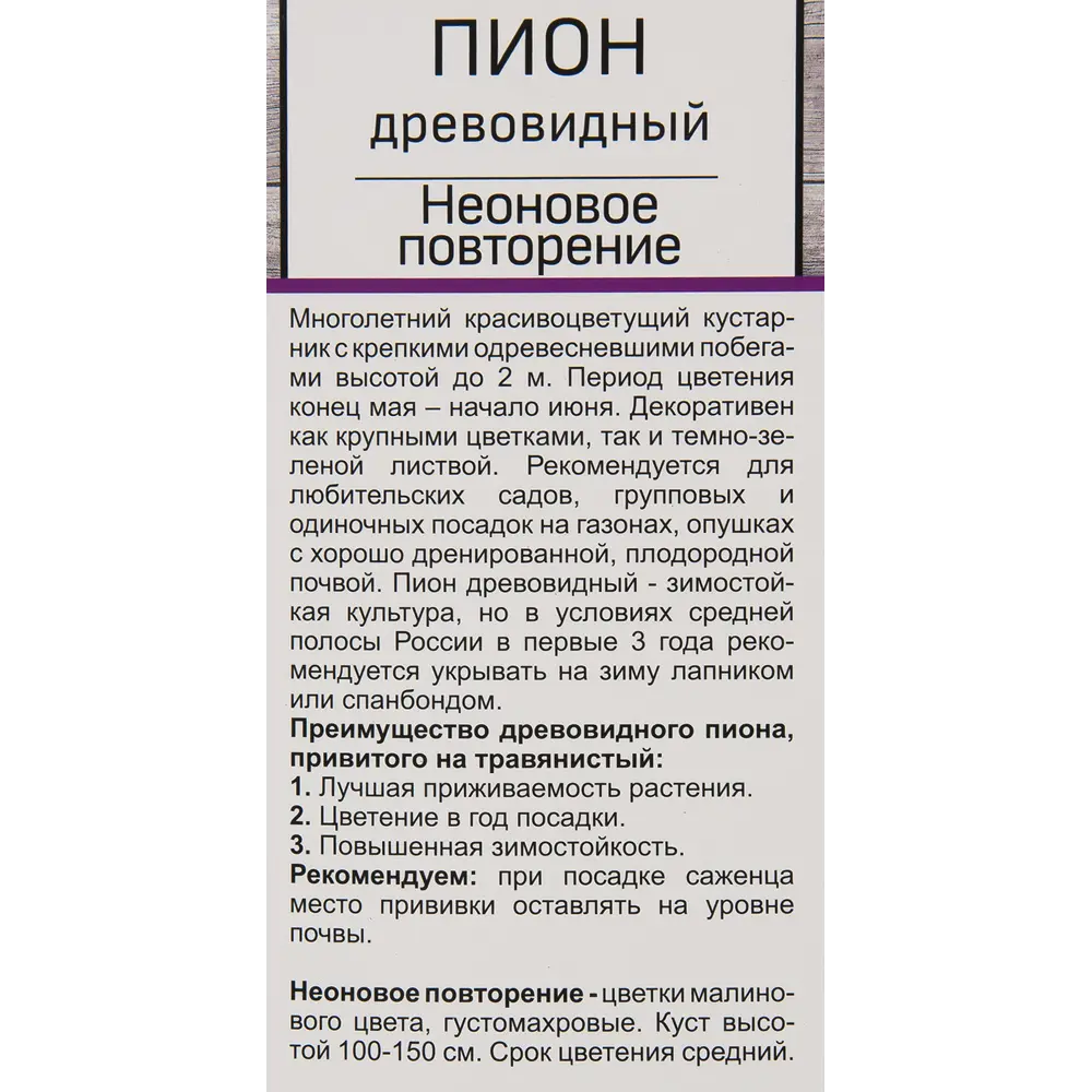 Пион древовидный Неоновый повтор h30 см 83431656 STLM-2070529 Santreyd  - Вид №1