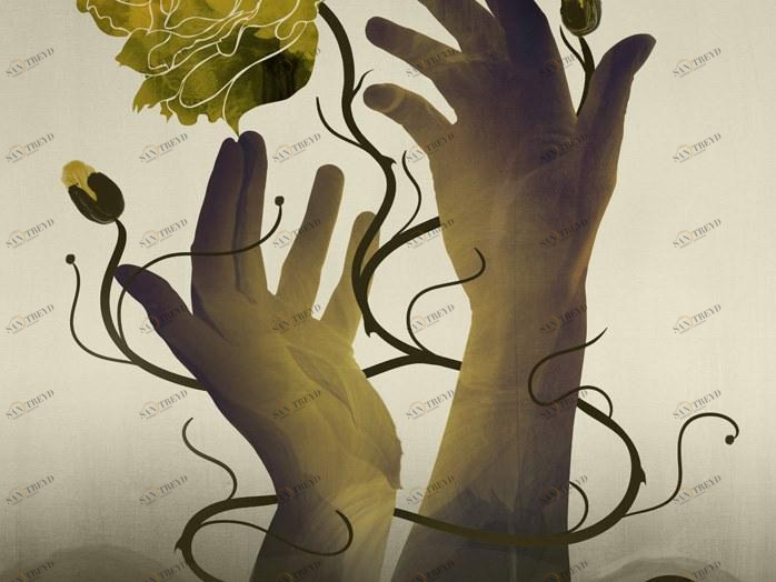 MOMENTI Авторский художественный принт Crazy home paintings Dh-014