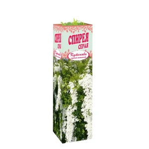 Спирея серая Грефшейм в тубе Кутепово 82559116 STLM-2007898