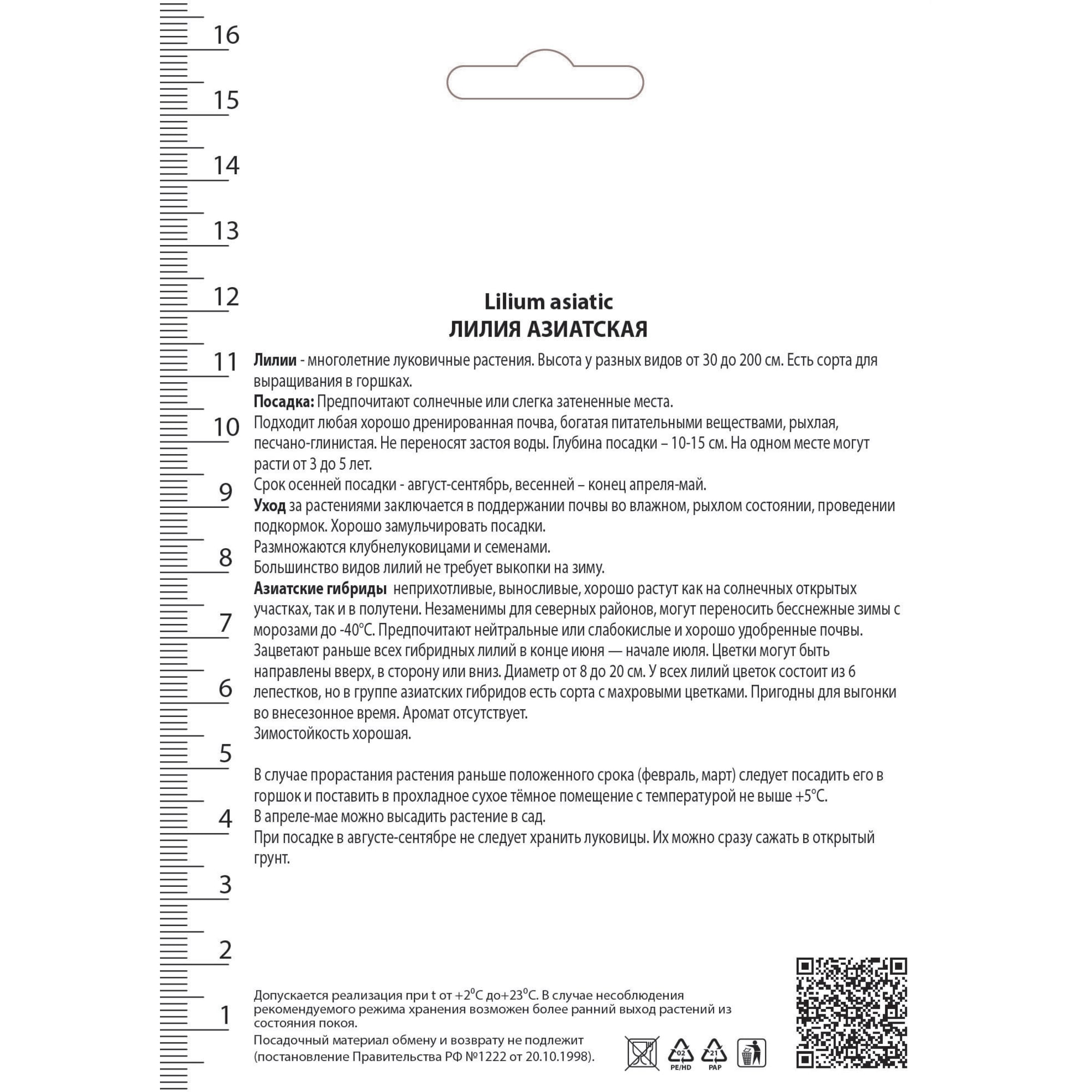 82530232 Лилии азиатские Арсенал Santreyd  - Вид №1