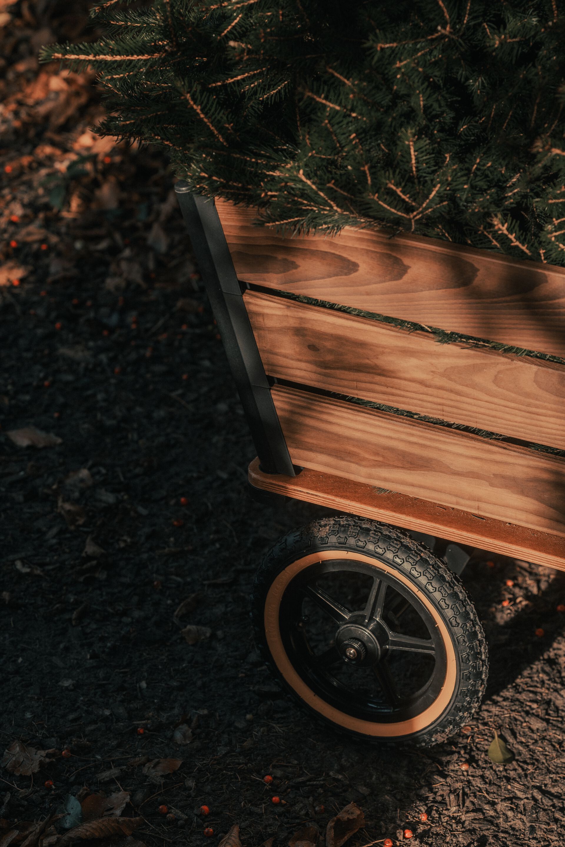 Садовая тележка TRADEWINDS THE PLANK WAGON ARCH-00043245 - Вид №10