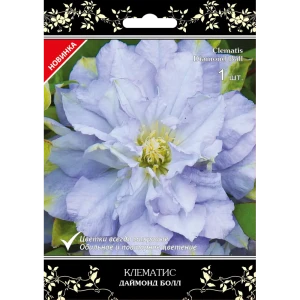 Клематис крупноцветковый Даймонд Болл в капере 82527434 STLM-2075807