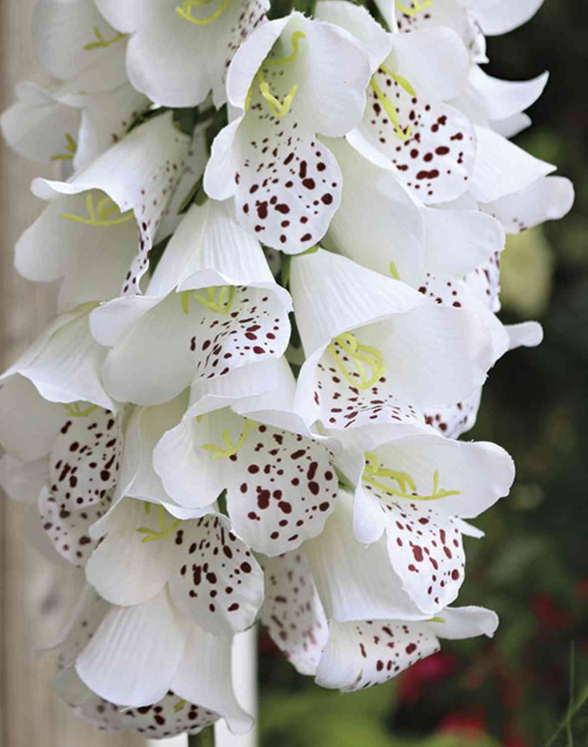 3223 778 a3 Наплечные перчатки искусственные (Digitalis), 127 см, бежево-белые H-andreas 