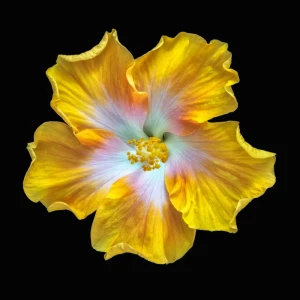 Картина на стекле Цветочная фантазия 2 30x30 см