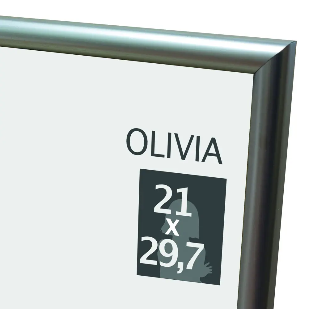 Рамка Olivia 21x29.7 см пластик цвет серебро 86107664 STLM-2187687 Santreyd 