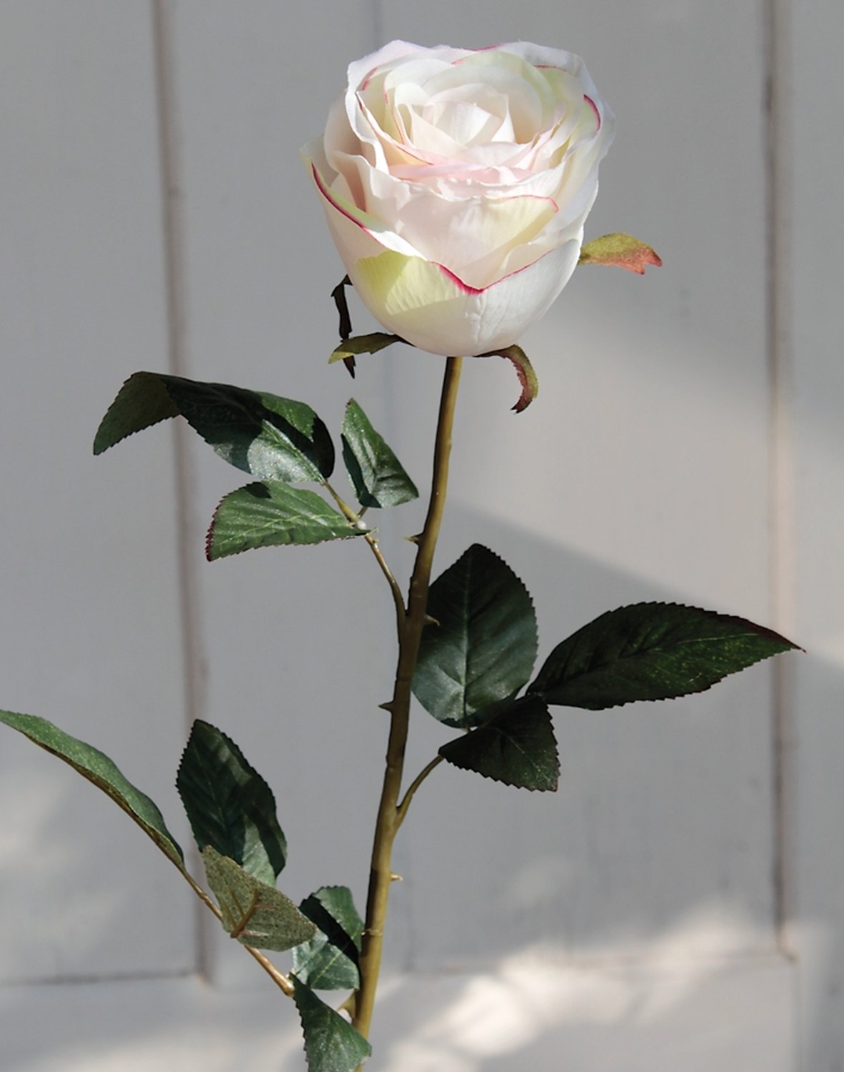 9816 755 a3 Искусственная роза, 90 см, бежево-розовая H-andreas  - Вид №3