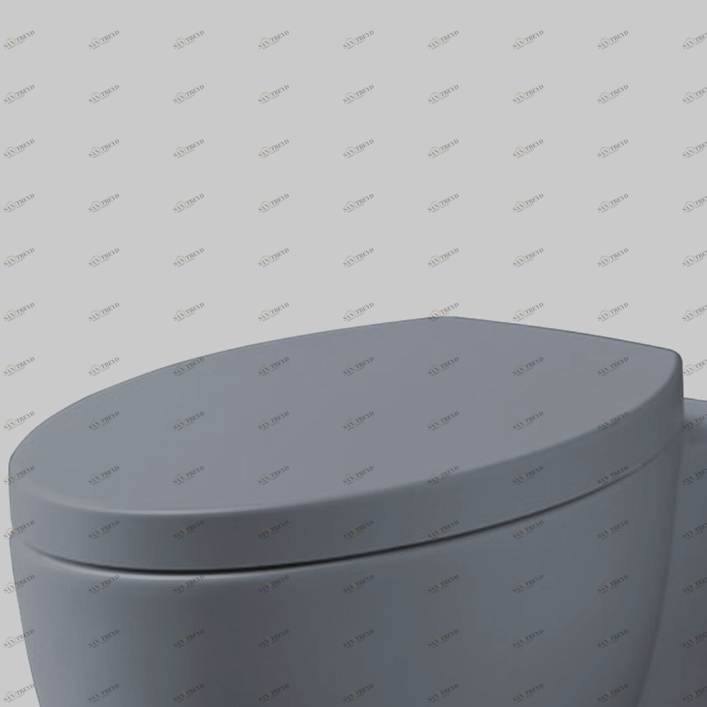 CPVCUTF-BR Крышка сиденье для унитаза Ceramica Cielo 